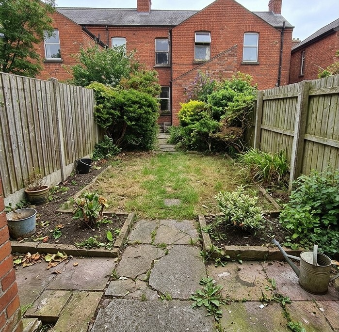Overgrown hedge and lawn in Clontarf before maintenance